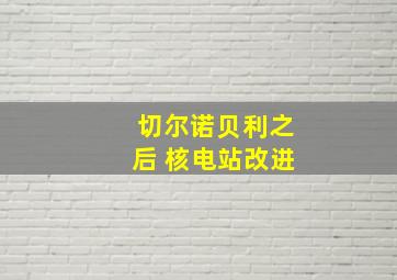 切尔诺贝利之后 核电站改进